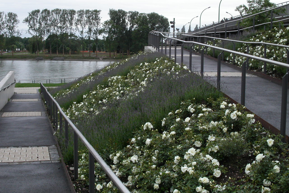 Garten der zwei Ufer in Kehl Straßburg Brosk Landschaftsarchitektur